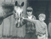 Photo of Joseph